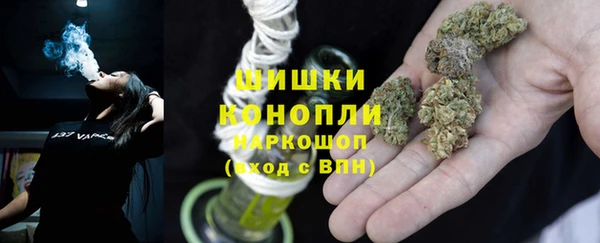МДПВ Нефтегорск