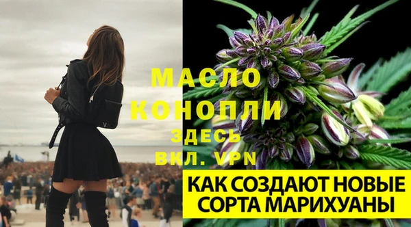 экстази Нея