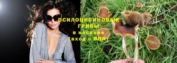 экстази Нея