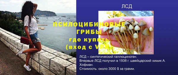 МДПВ Нефтегорск