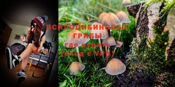 МДПВ Нефтегорск