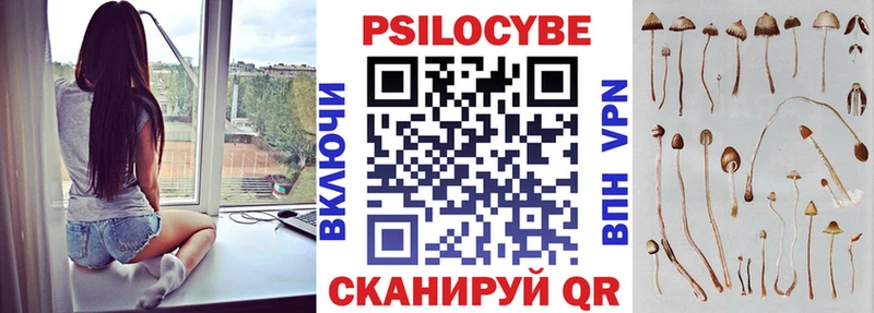 Купить закладки  Грозный  Псилоцибиновые грибы ЛСД 